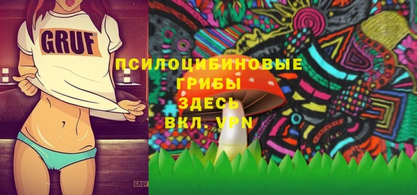 винт Рославль