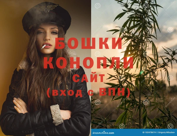 винт Рославль