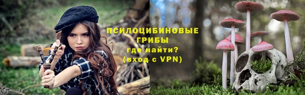 винт Рославль